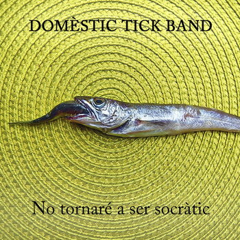 disc domestic tick band
