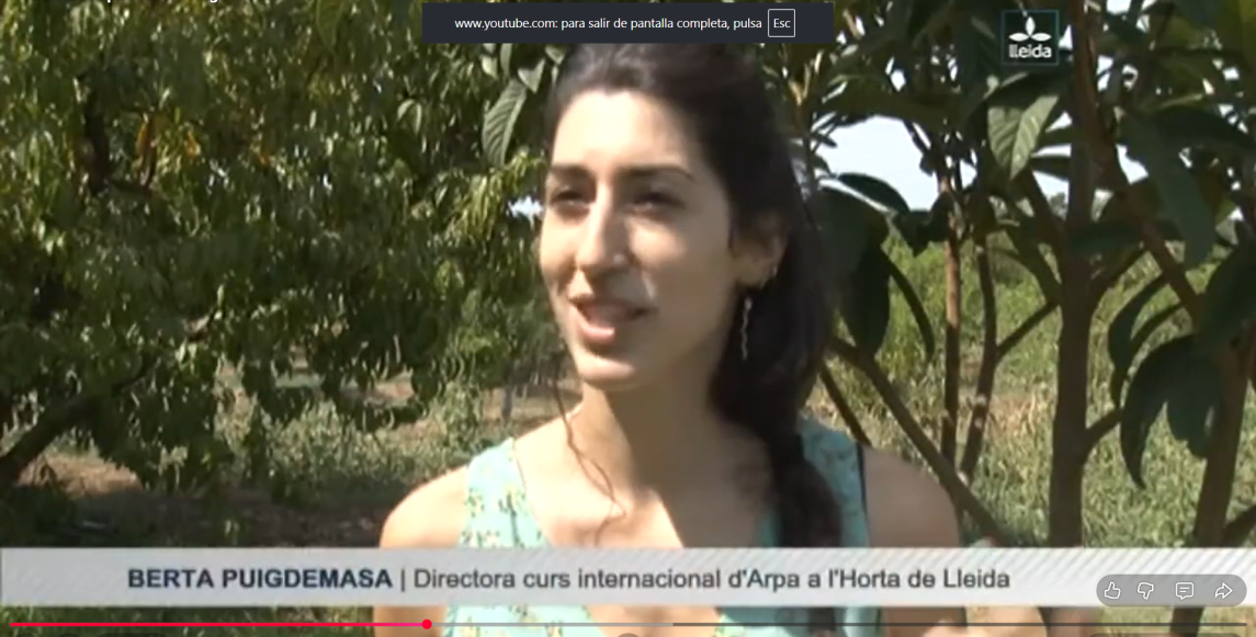 Captura de pantalla 2026-03-02 102137